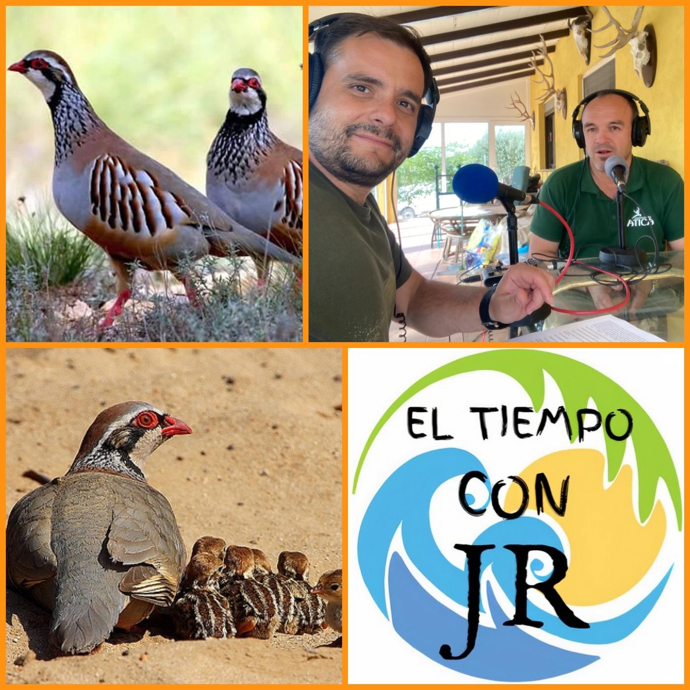 EL MORRAL DEL CAZADOR 21-06-2024 PROG 381 "LA PERDIZ ROJA A DEBATE"