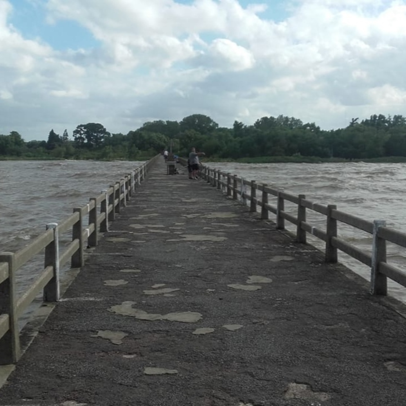 Planeta Pesca