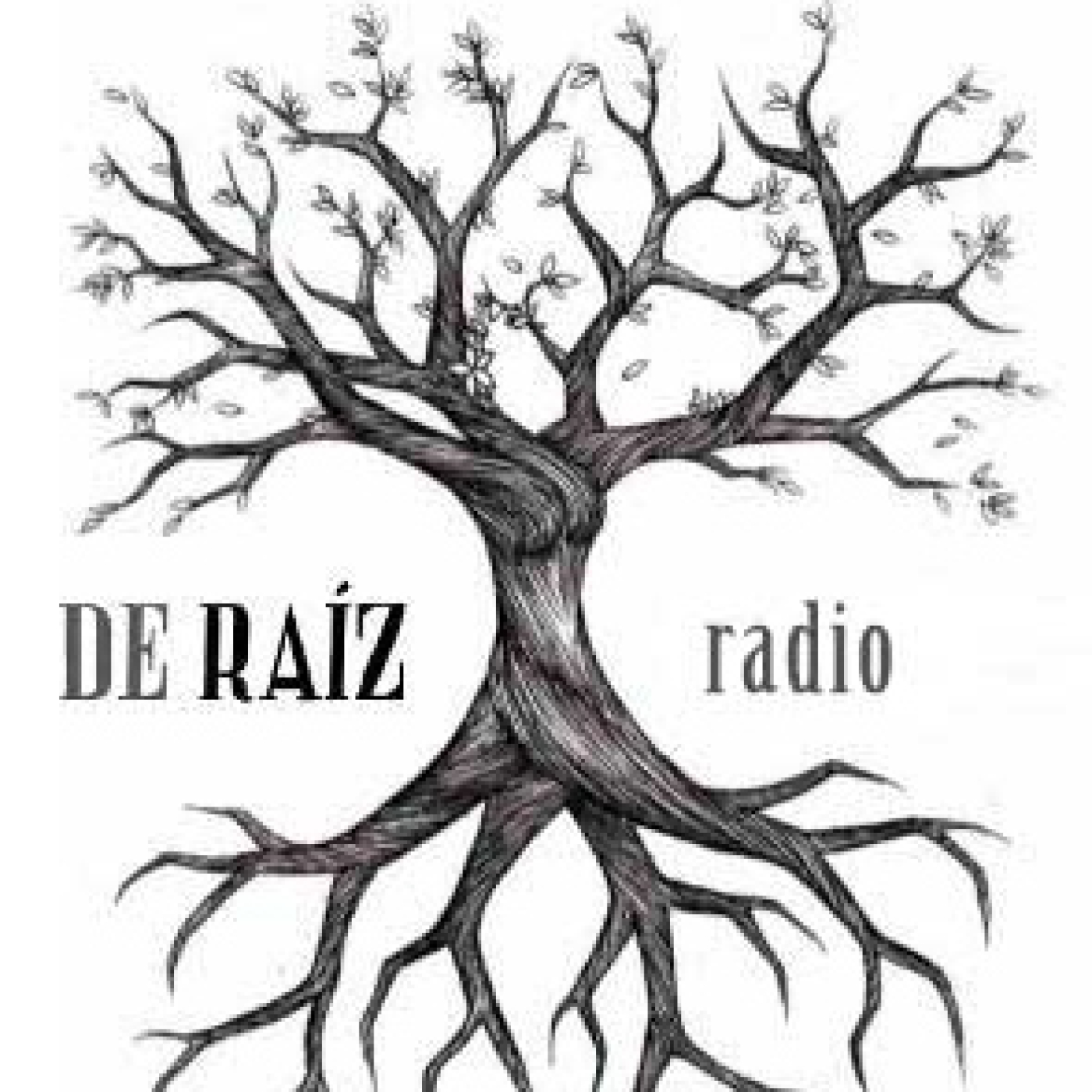 De Raíz Radio