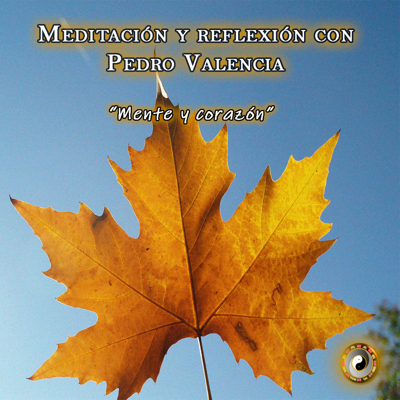 Meditación y Reflexión con Pedro Valencia