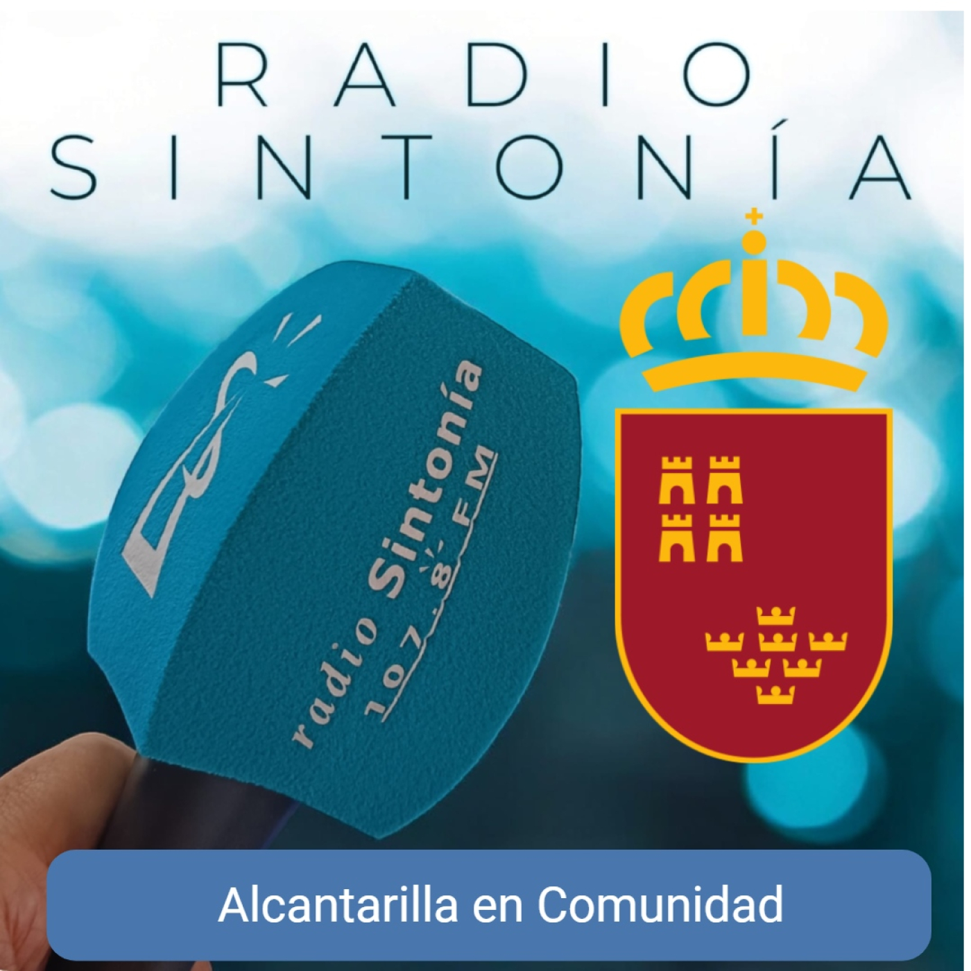 Radio Sintonía