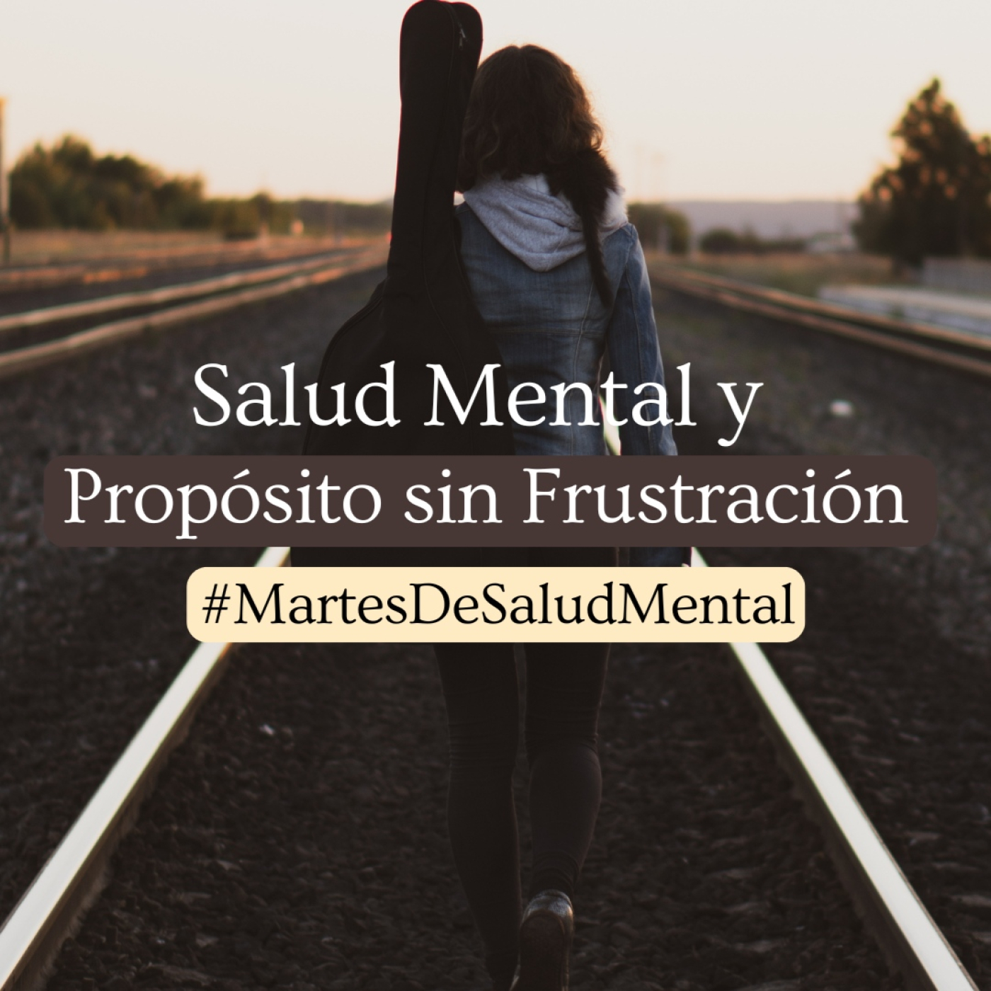 Propósito sin Frustración