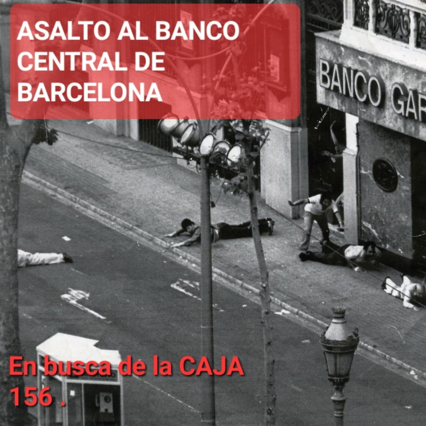 CRÓNICAS DE UN SERENO . ( El gato negro)