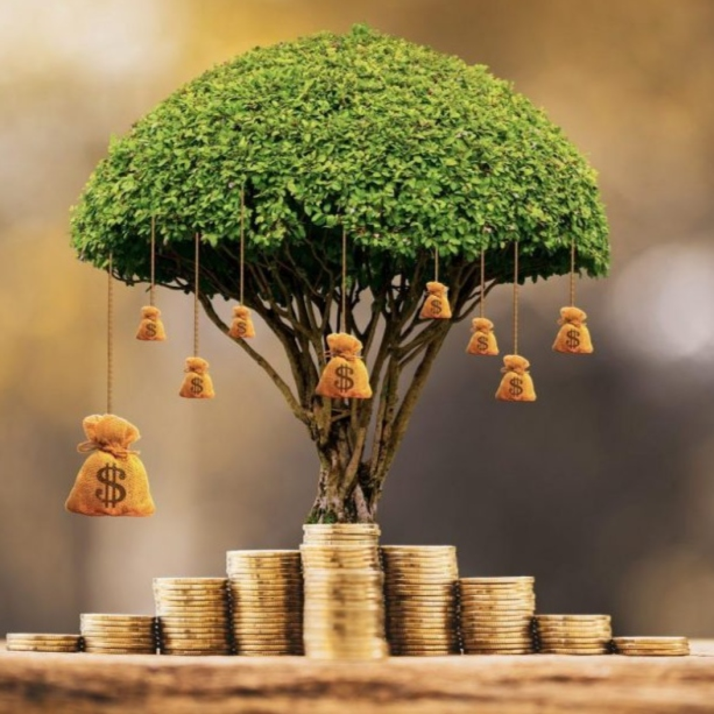 Código secreto de la prosperidad y la abundancia