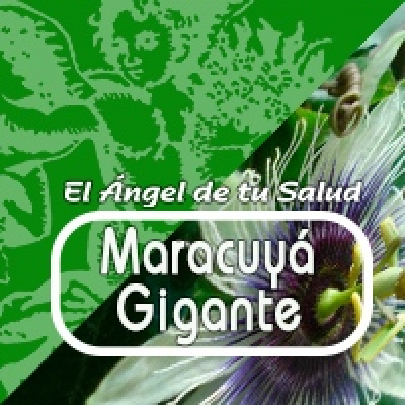 El Angel de tu Salud- MARACUYÁ GIGANTE episode artwork