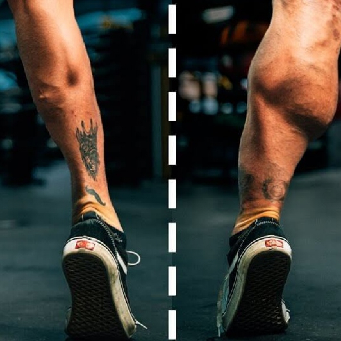 Fit Generation