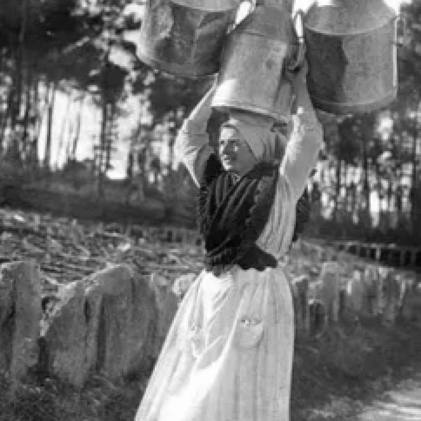 Zamora a traves de su historia.