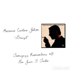 embed image