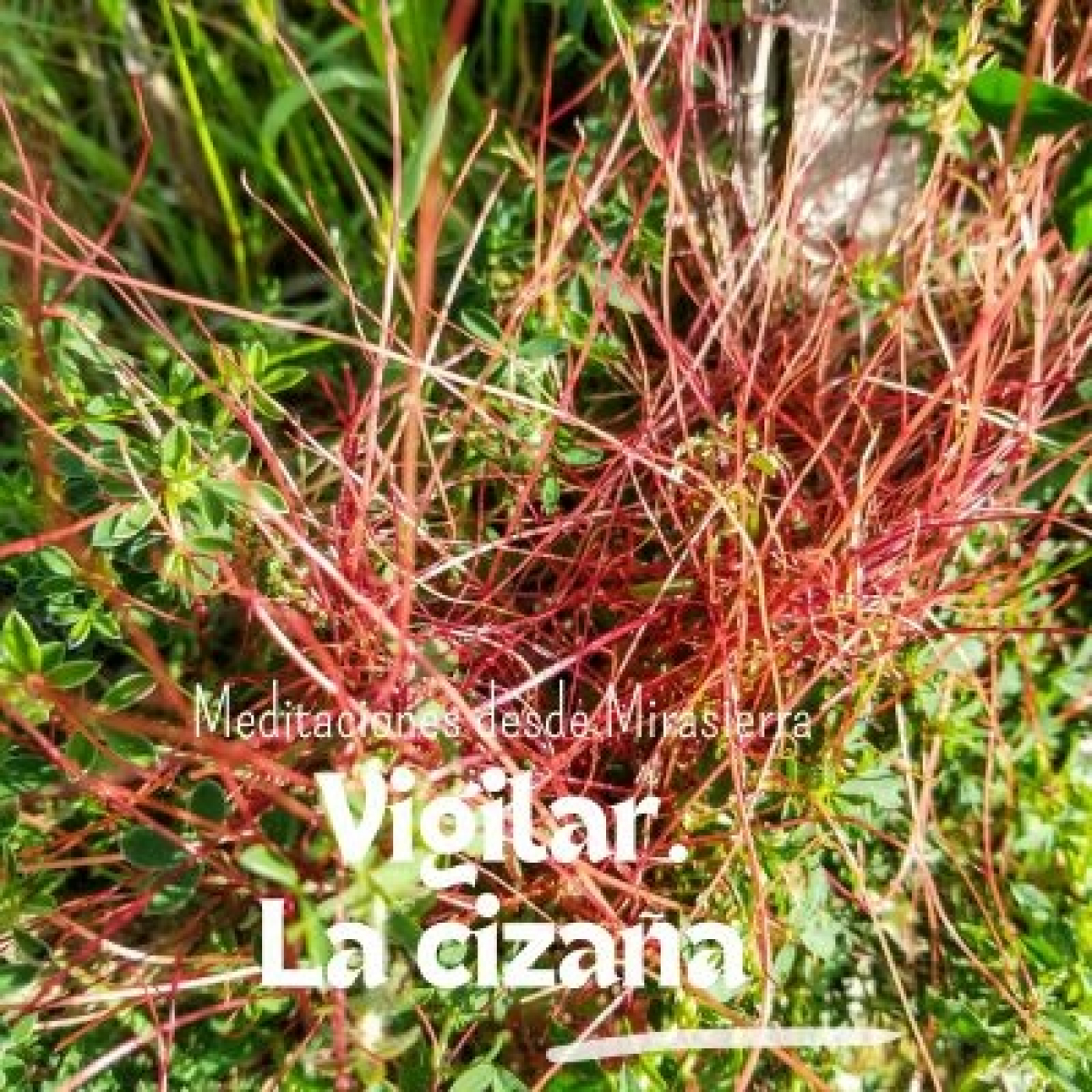Meditaciones desde Mirasierra