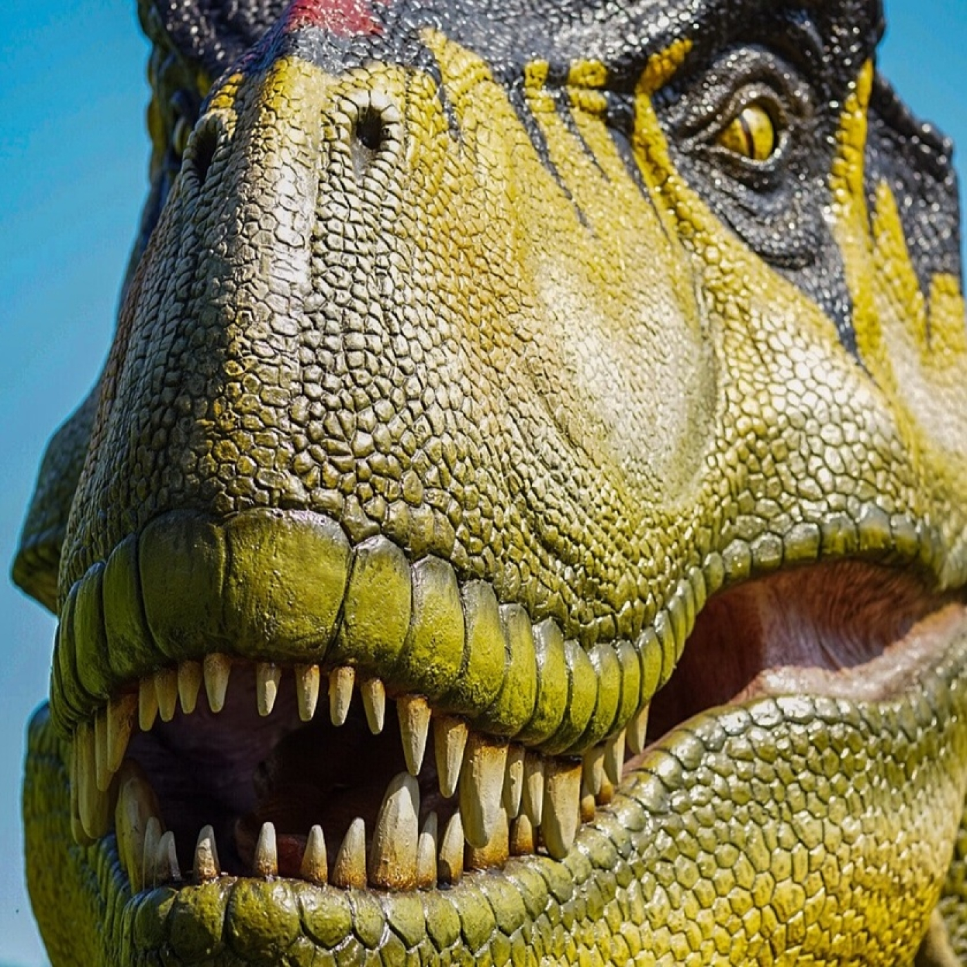 Ultimas noticias del Tiranosaurio Rex. José Ignacio Canud, Aragosaurus UZ.LFDLC. Prog. 590