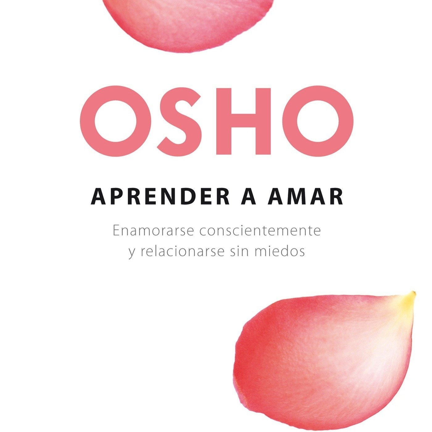Disfrutando Leyendo