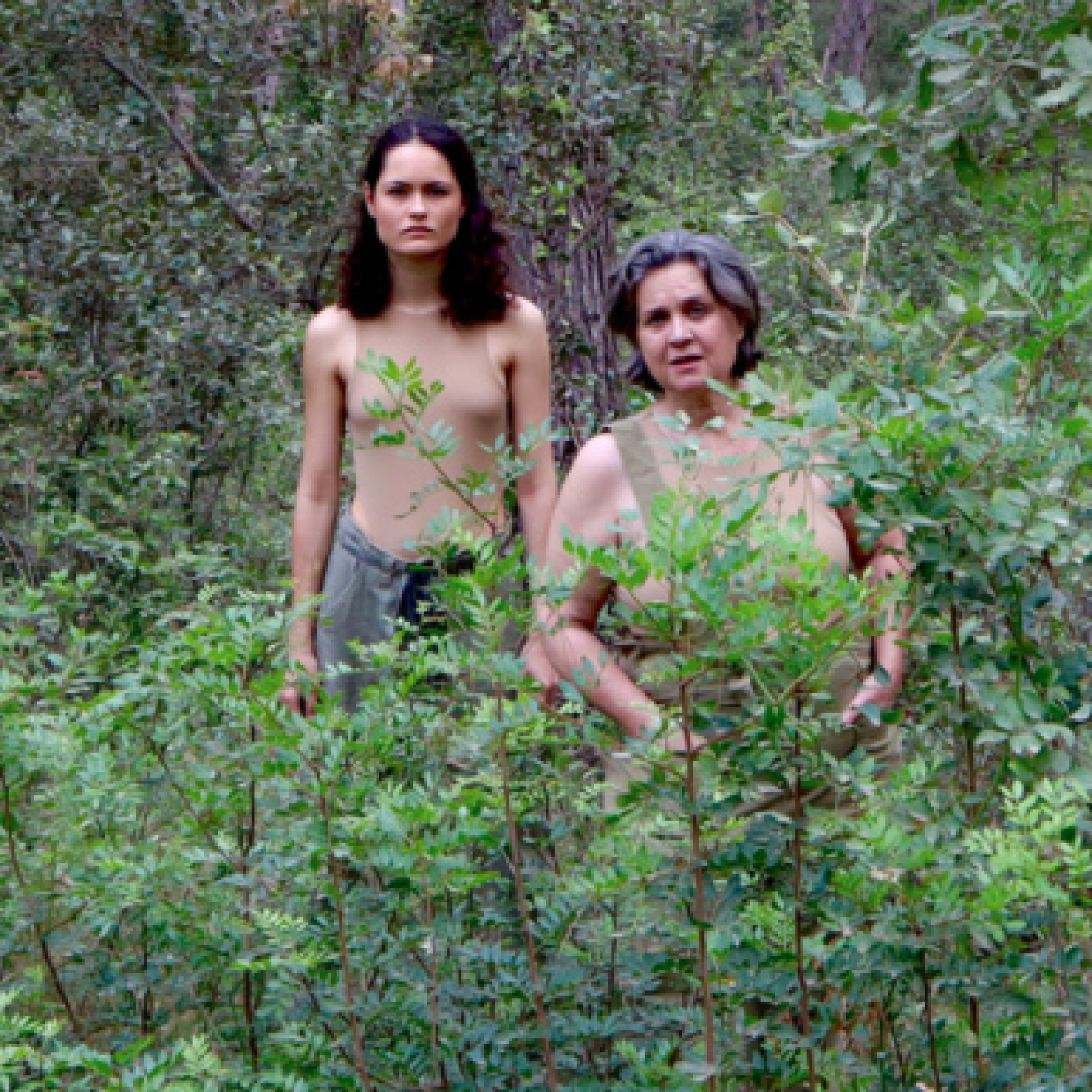 Programas Mar de Fueguitos