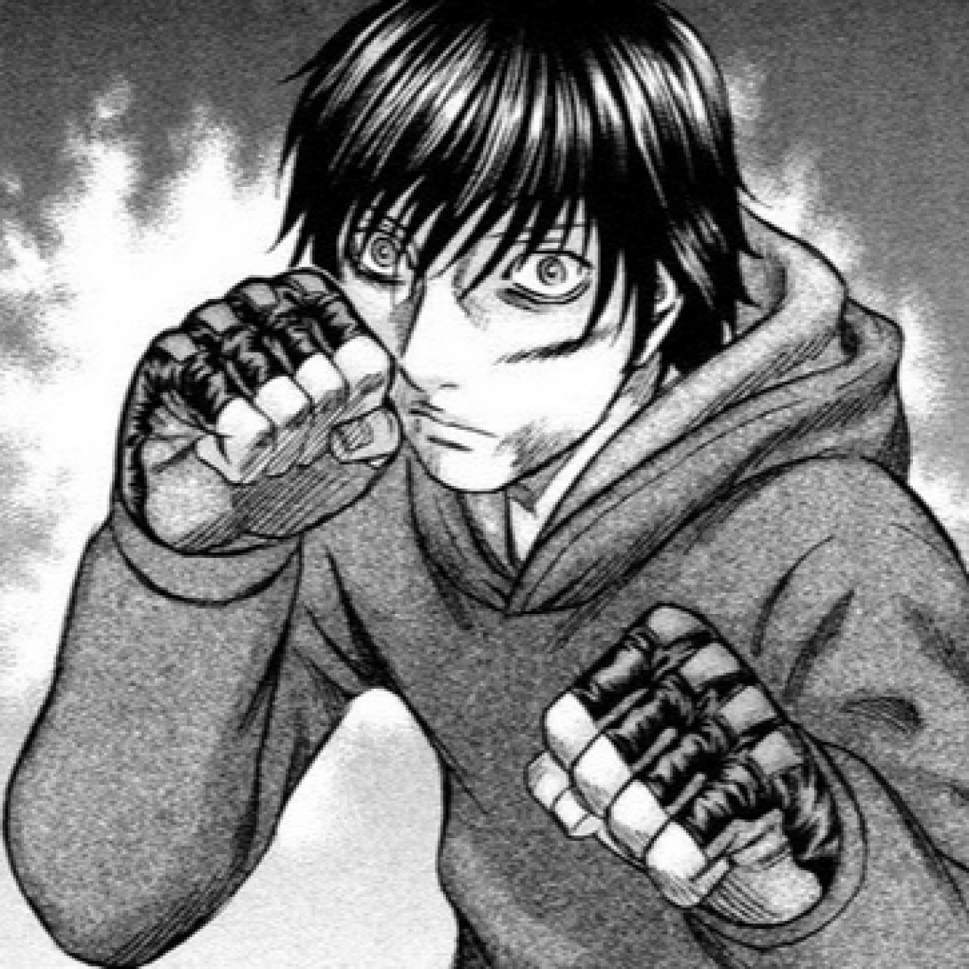 Mangas de Artes Marciales