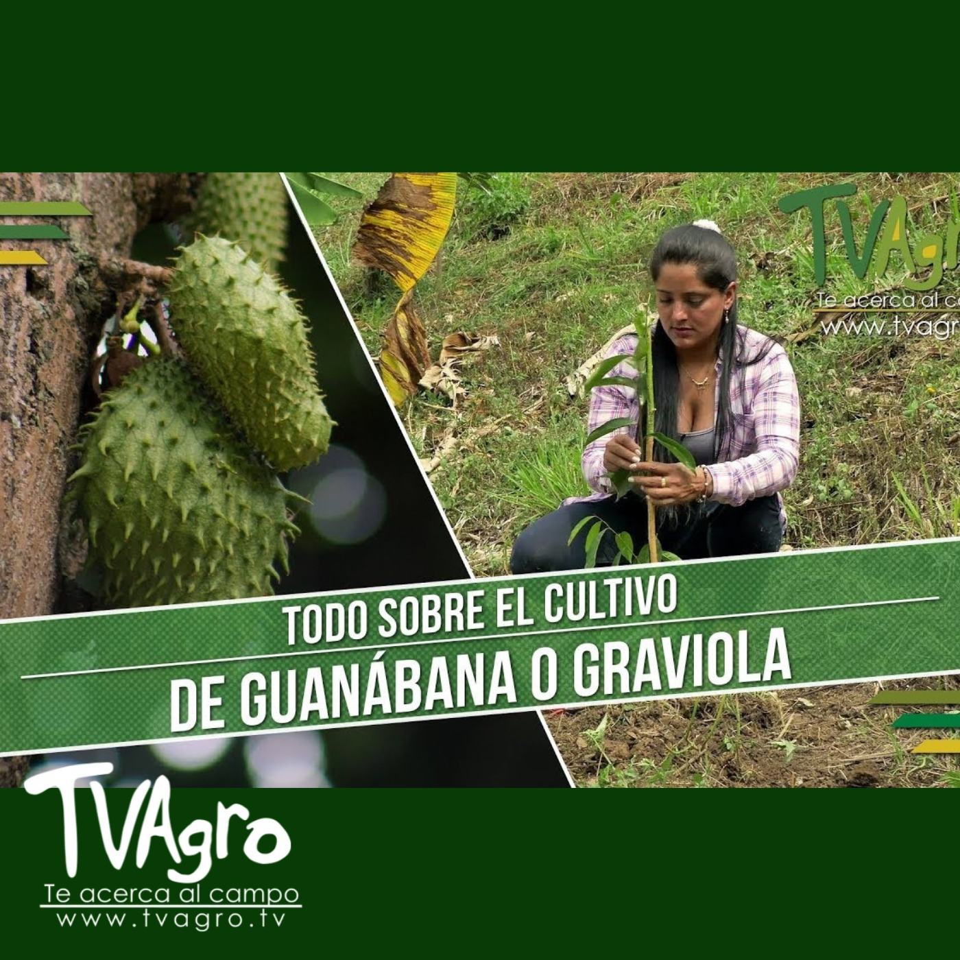 TV AGRO