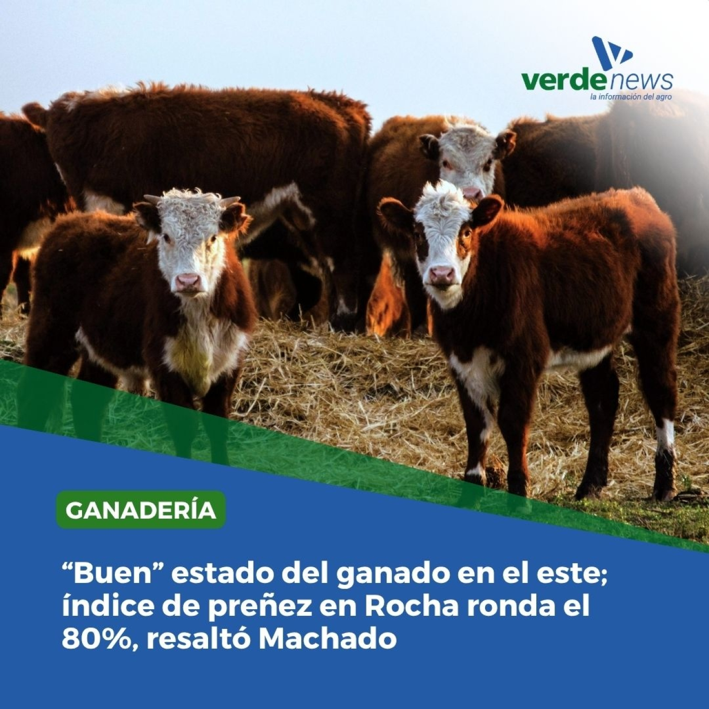 Emilio Machado - médico veterinario - 18/06/25 episode artwork