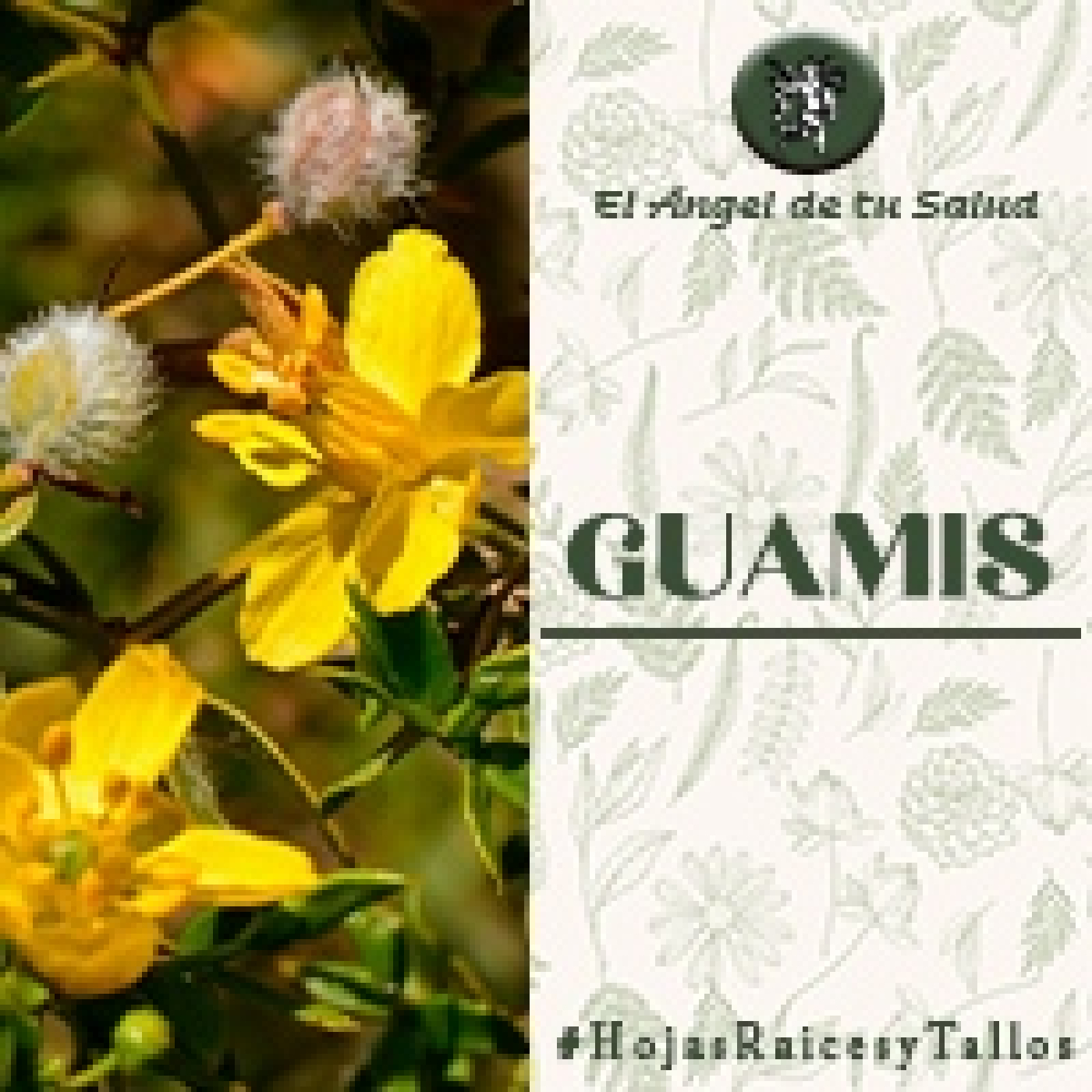 El Ángel de tu Salud - Guamis** episode artwork