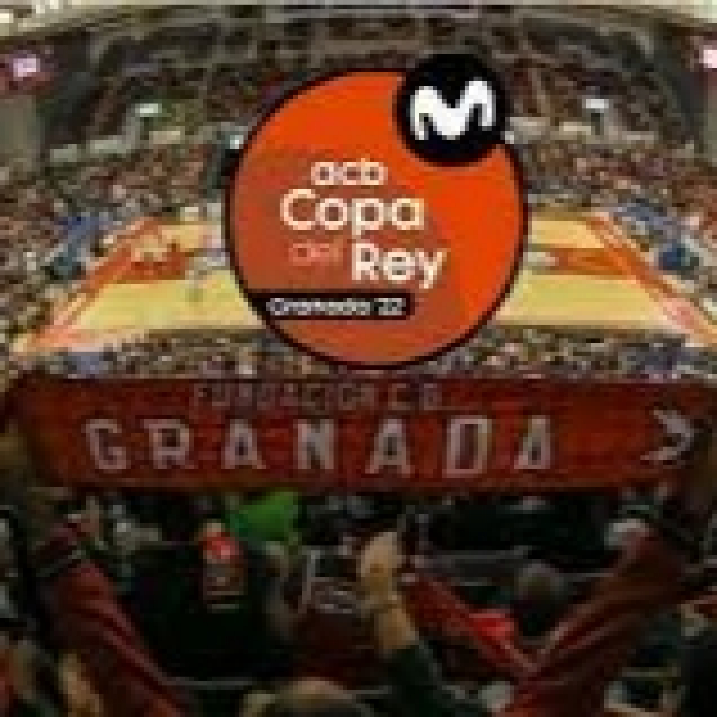 Pasión Por El Baloncesto