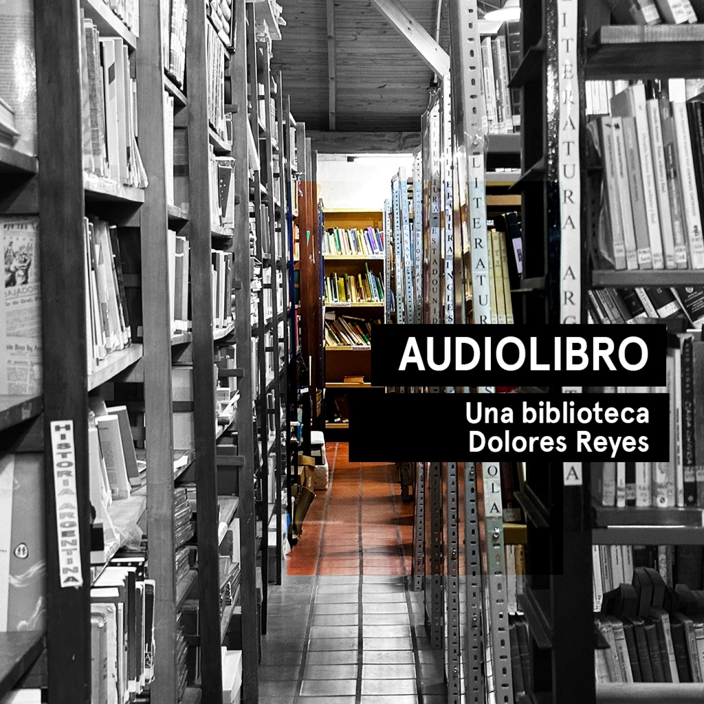 Una biblioteca - Dolores Reyes | Audiolibros Por qué leer | Audiocuento
