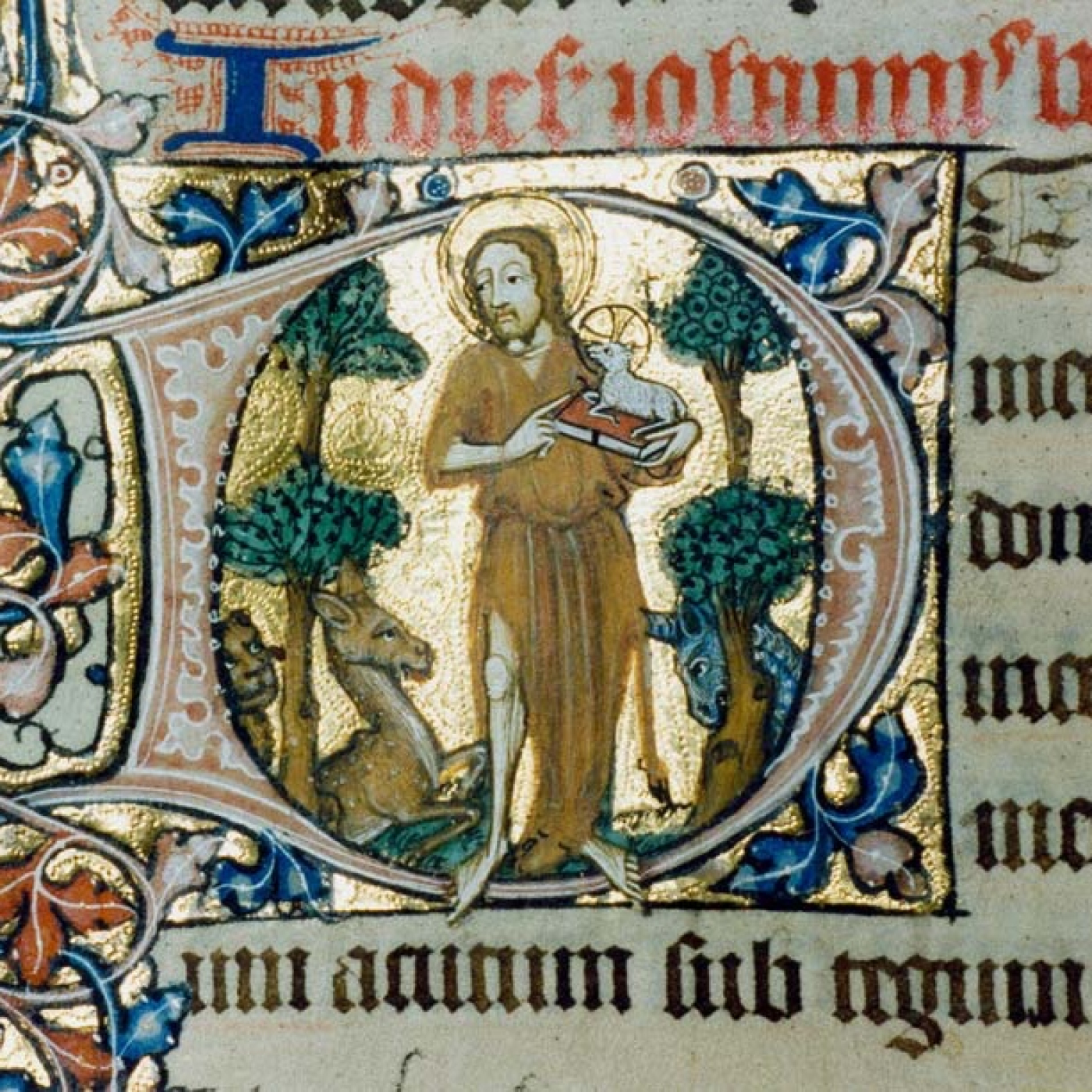Gregorio y la Paloma