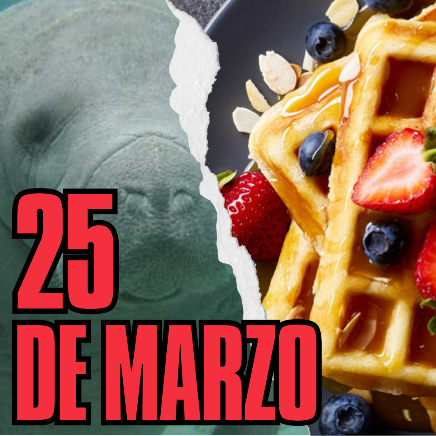 Matinal 25 de Marzo 2023 episode artwork