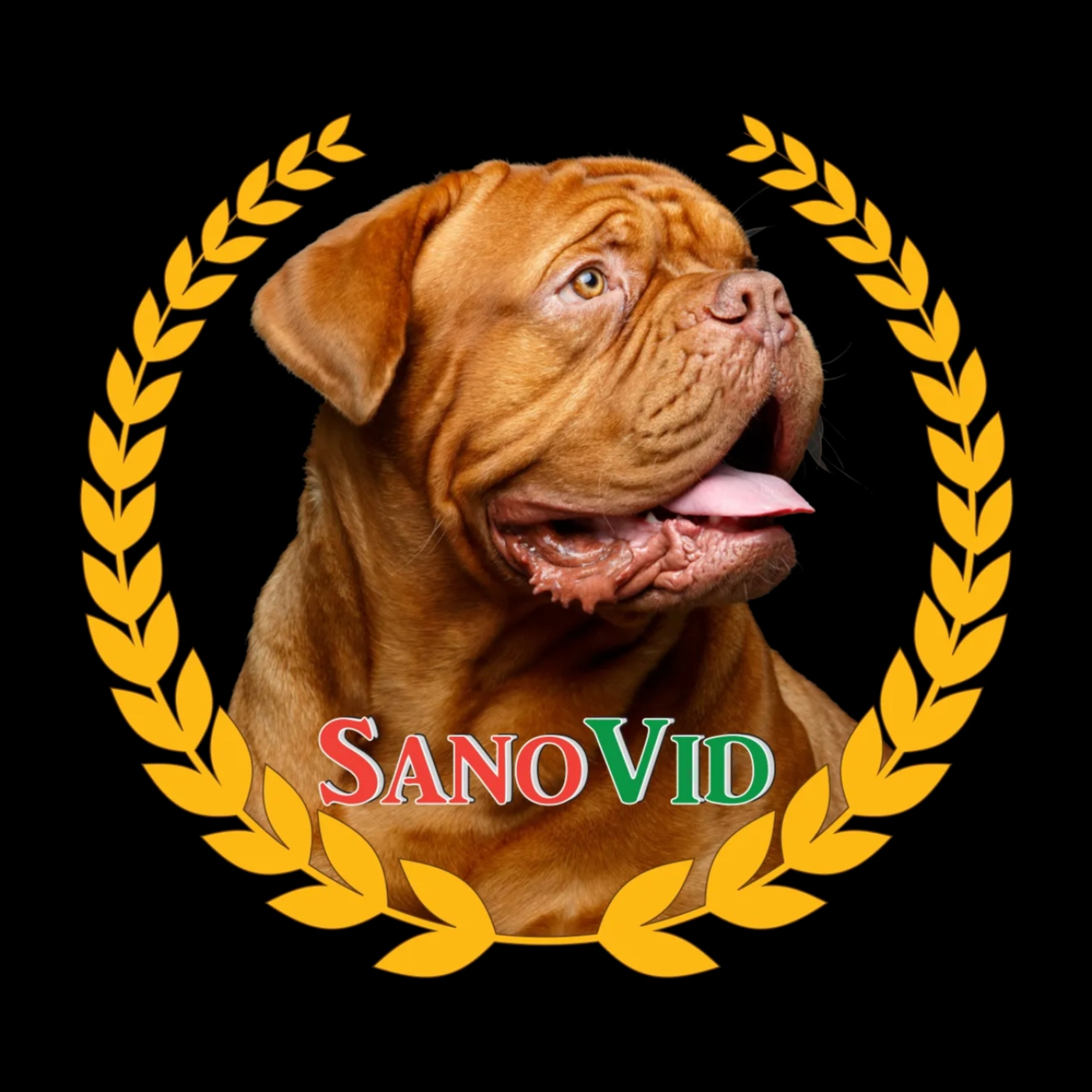 SanoVid (29-06-2026) episode artwork