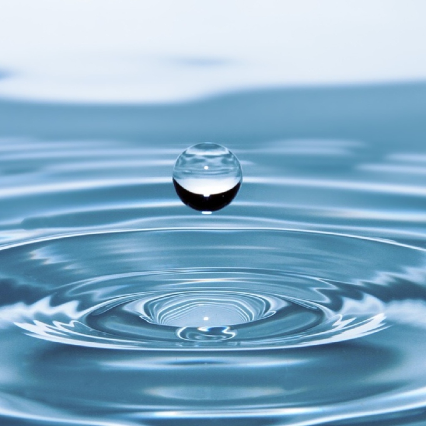 Roger Àlvarez Meditación