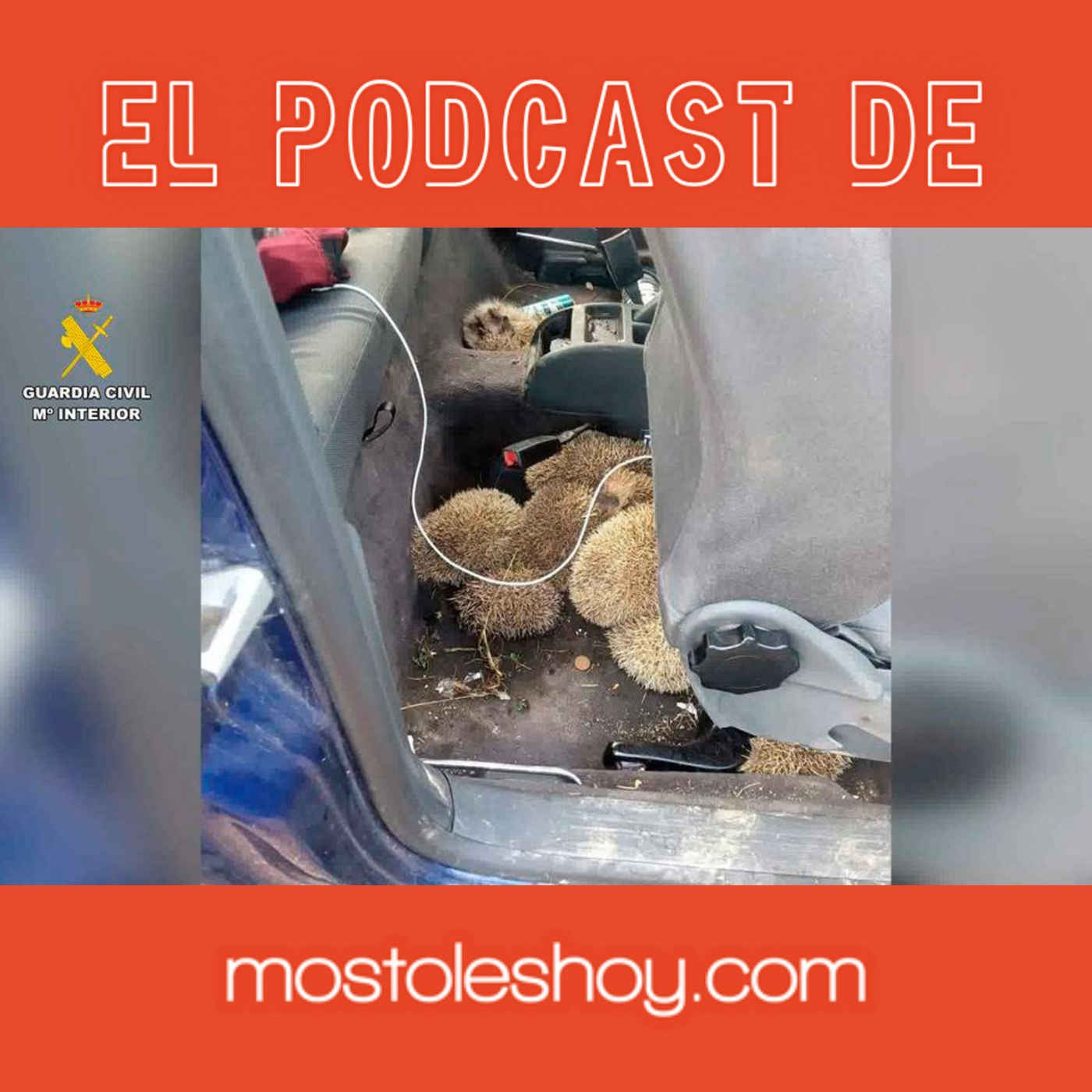 mostoleshoy.com - Tus noticias de Móstoles