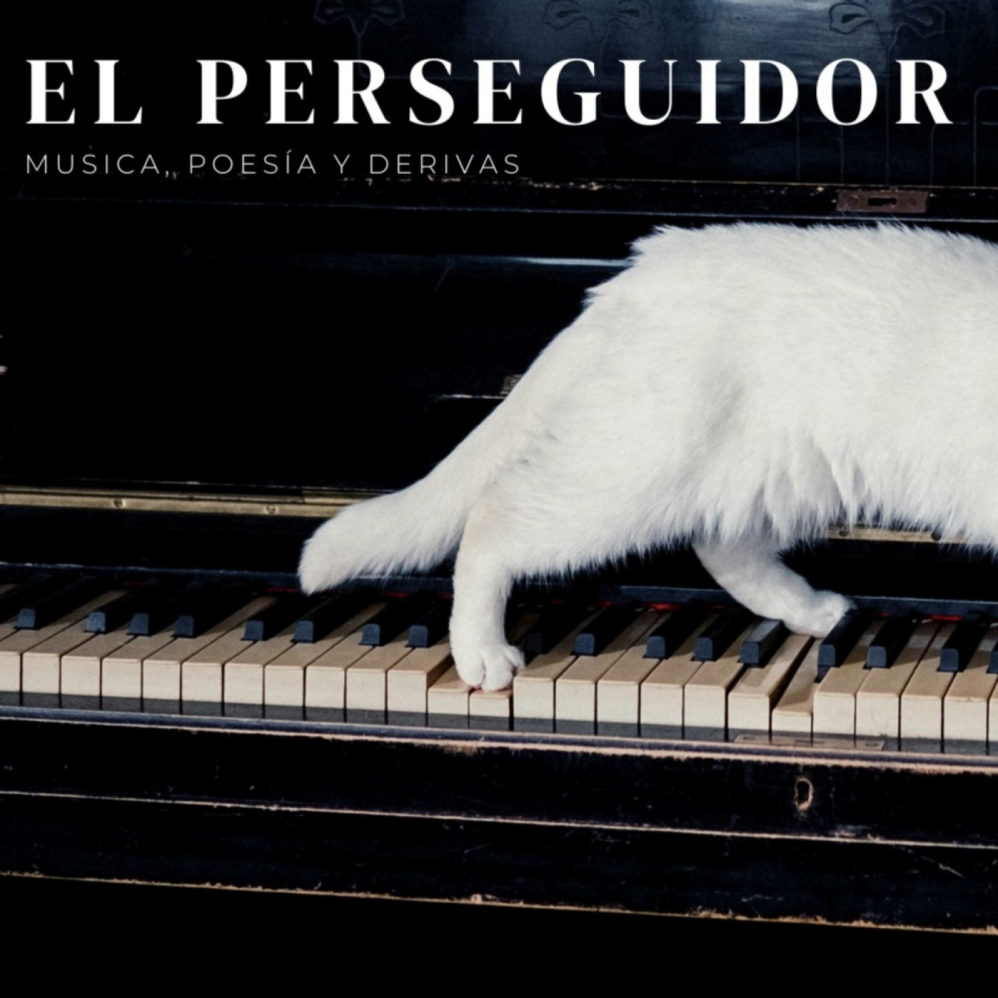 Notas y Entrevistas en Medios