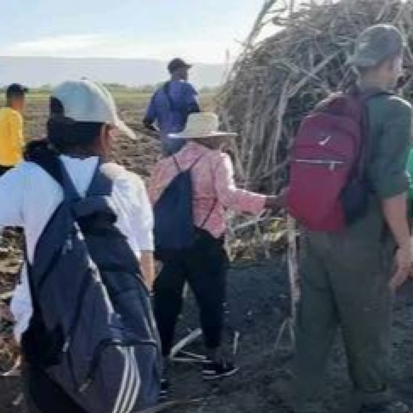 Sindicalistas de Guantánamo se movilizaron hacia el surco episode artwork