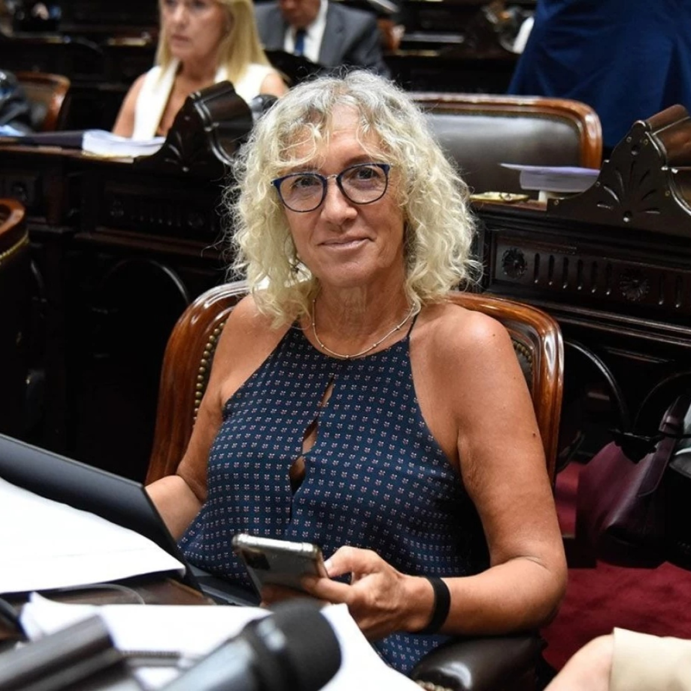 Mónica Frade @MonicaFradeok (Diputada Nacional por la Pcia. Bs As. Coalición Cívica, en JxC) Unas Cuantas Verdades