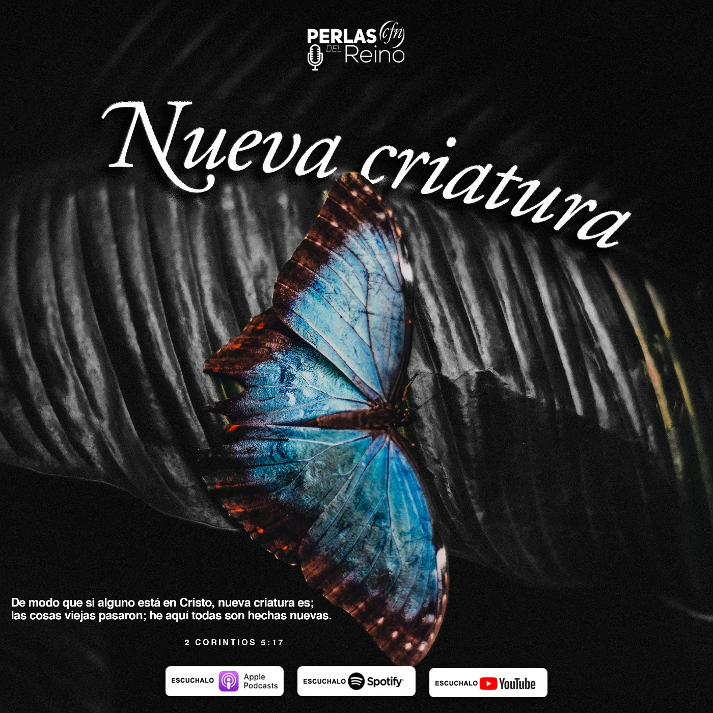Perlas del Reino