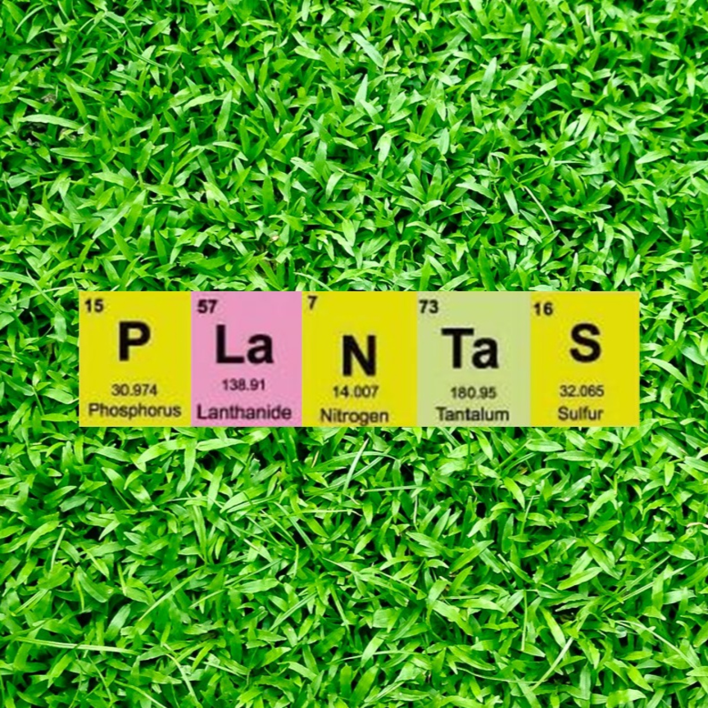 Fascinacion por las Plantas – 235 – Ceguera Vegetal