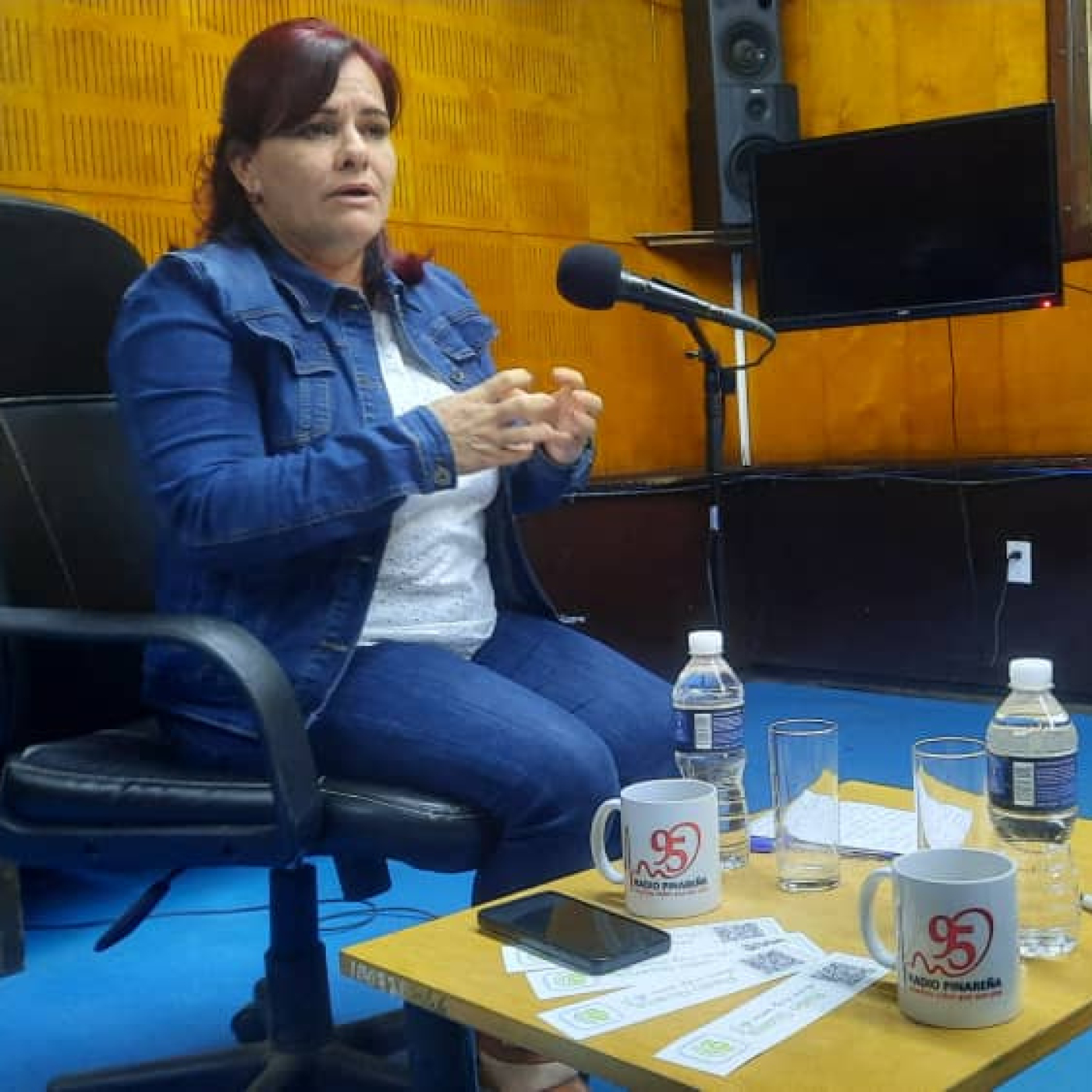 Entrevista especial: Resultados y desafíos de Pinar del Río a las puertas de un nuevo año