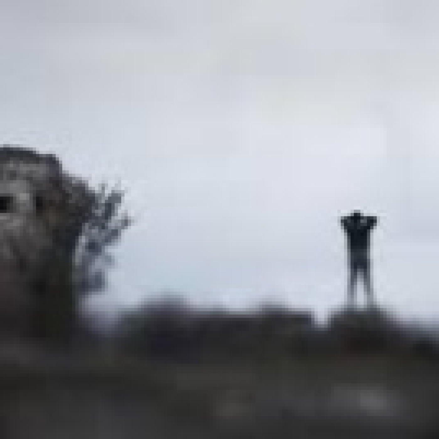 Luces en la oscuridad