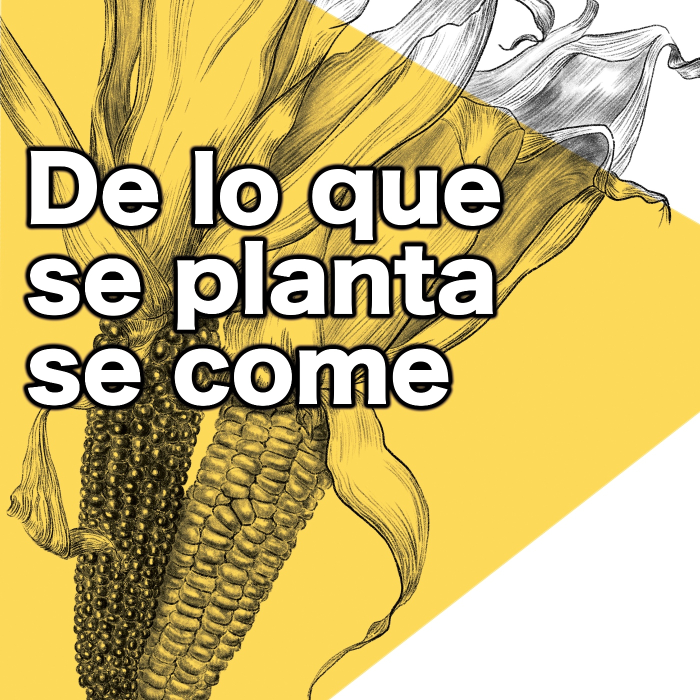 EL VALOR DE LA MONTAÑA: Cap 2. De lo que se planta, se come