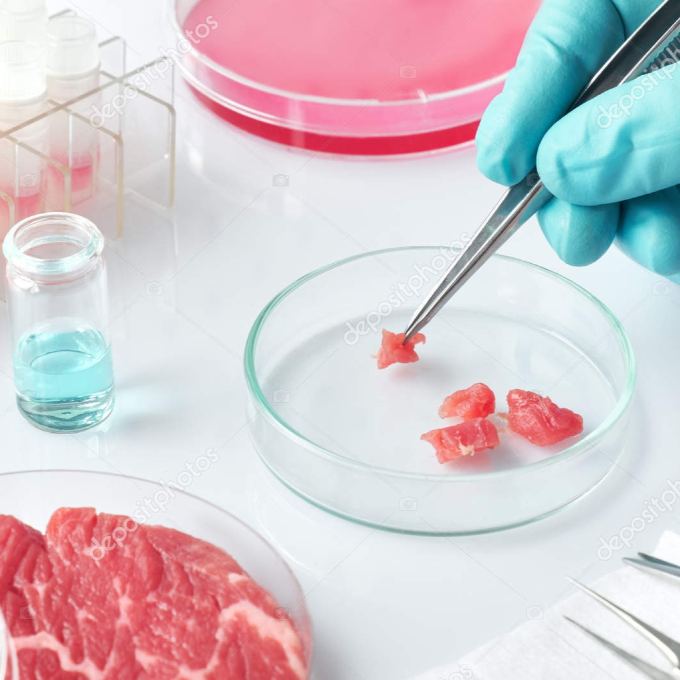 #133. Alimentación 2.0. ¿Cómo Será la Comida del Futuro? episode artwork