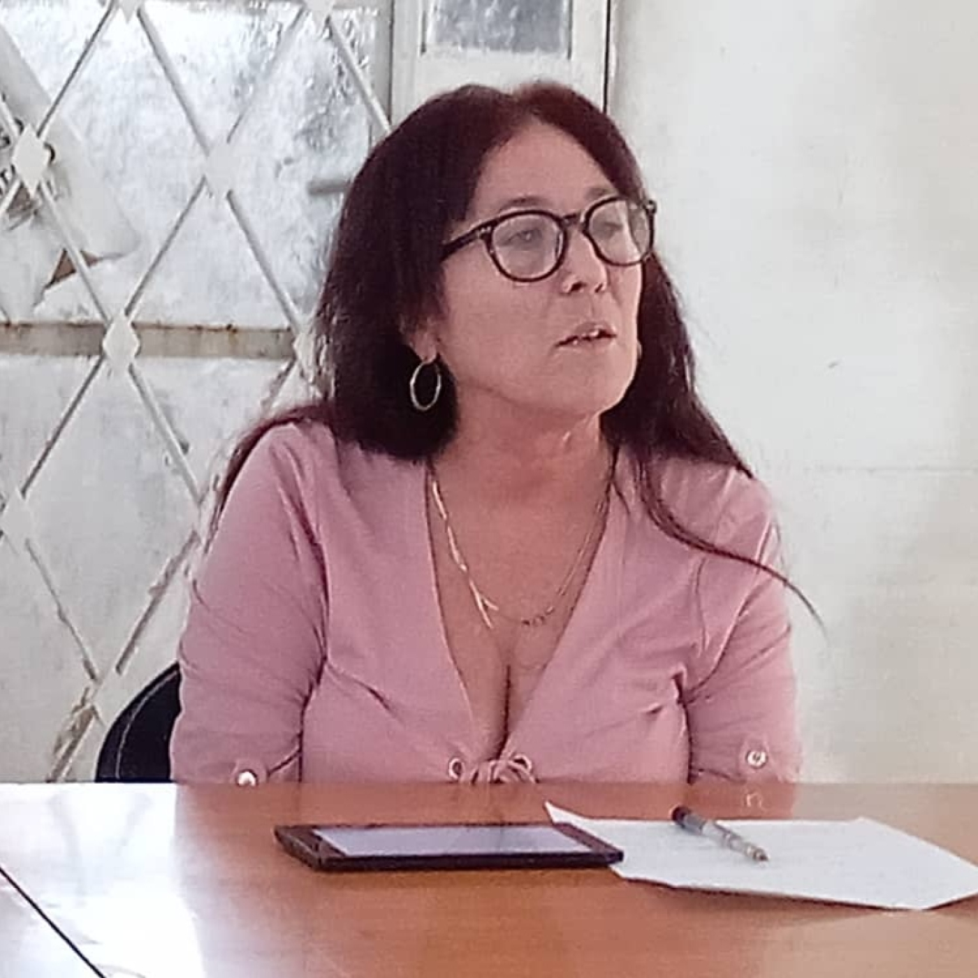 Doris Cotilla, presidenta de la Sociedad de Arquitectura del gremio capitalino de ingenieros y arquitectos episode artwork
