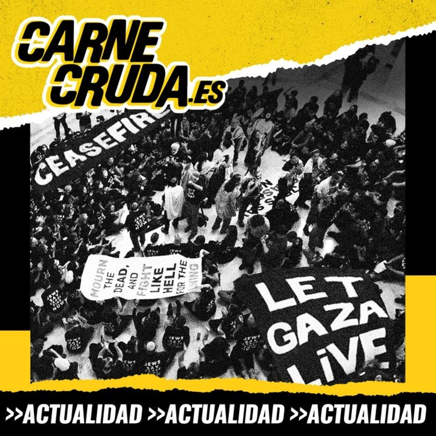 El otro Israel: judíos contra el apartheid (CARNE CRUDA #1263)