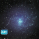 embed image