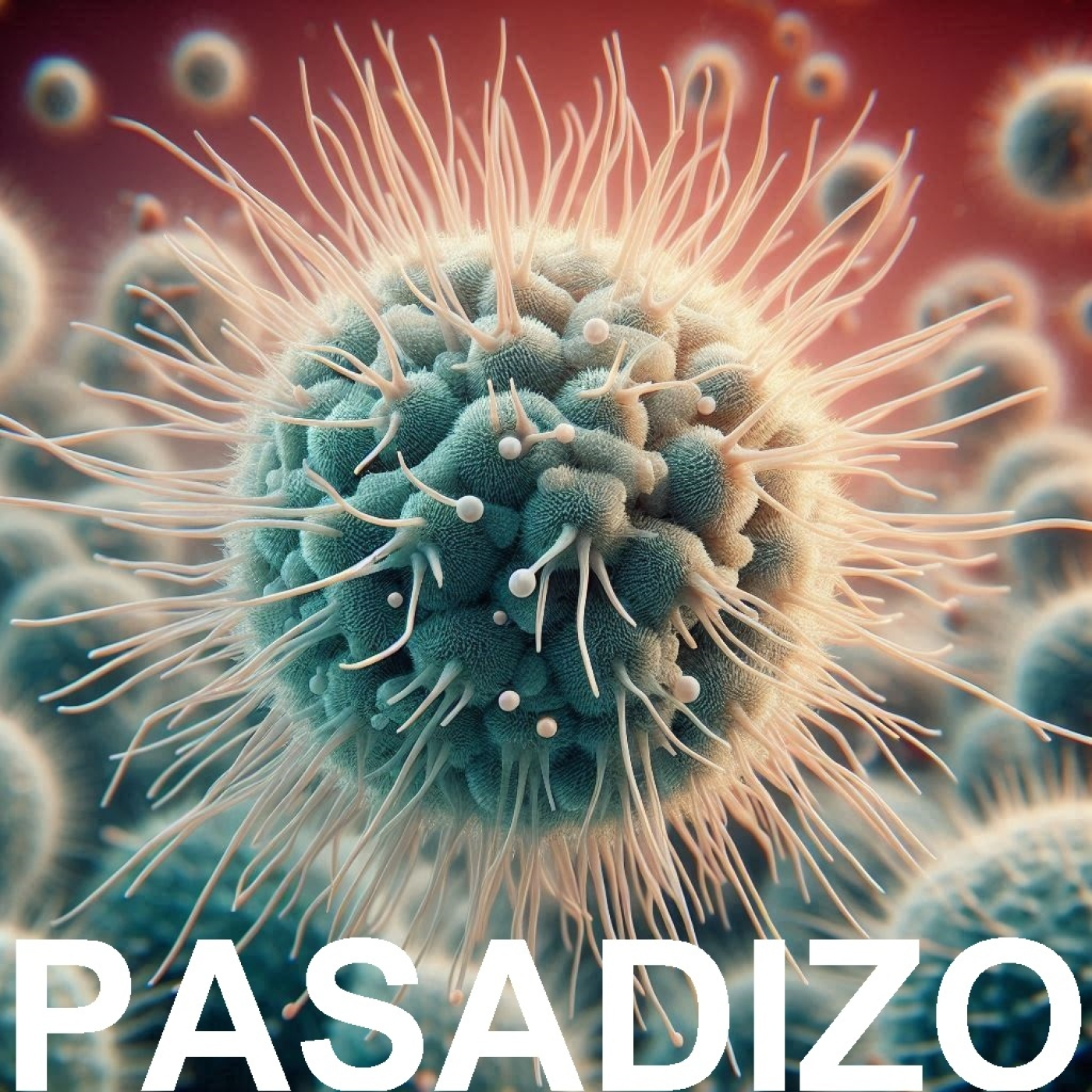 PASADIZO