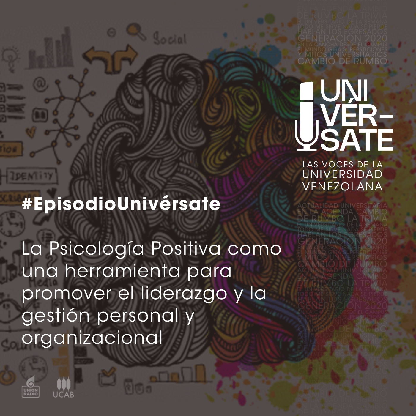 Producción Univérsate