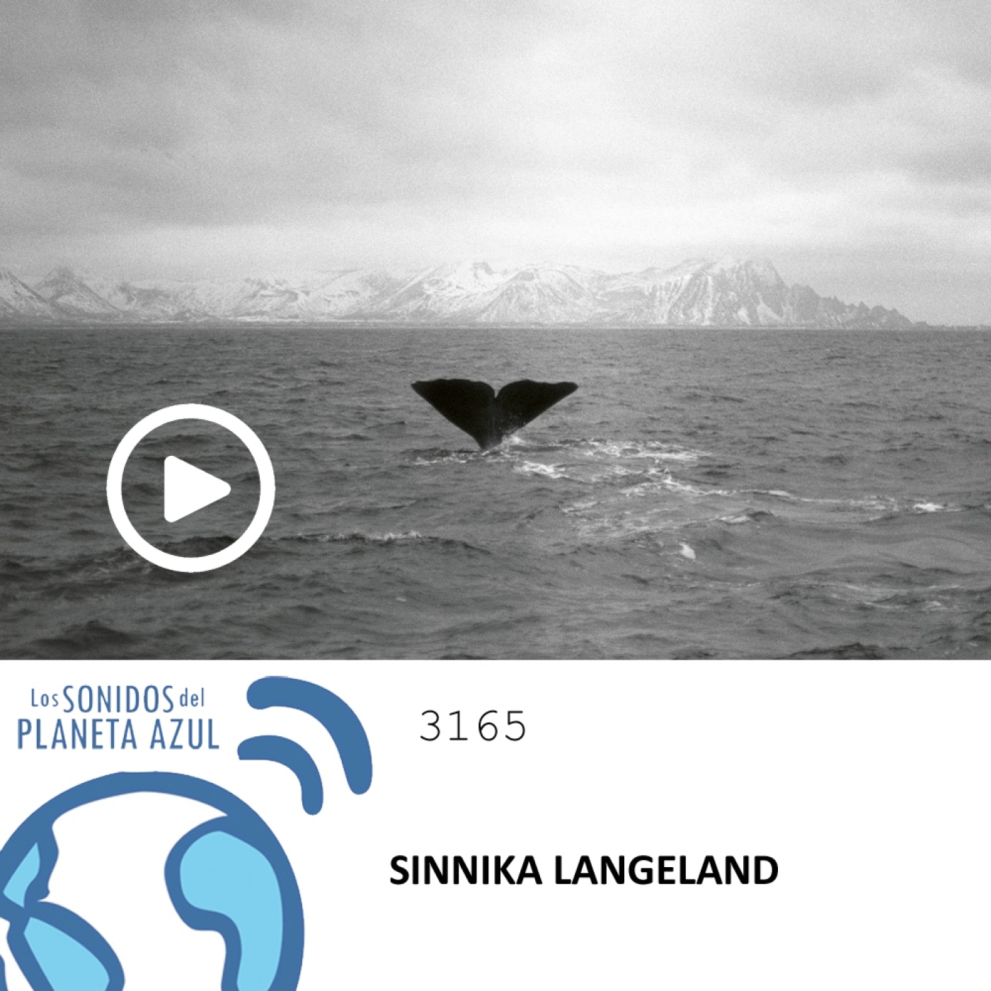 Los Sonidos del Planeta Azul 3165 - SINIKKA LANGEGLAND, WOLFGANG MUTHSPIEL, MACIEJ OBARA QUARTET (02 04 2024) episode artwork