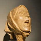 embed image