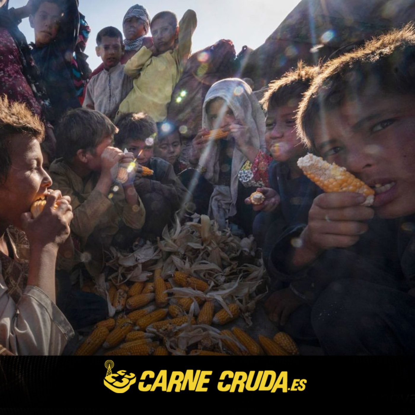 Carne Cruda - PROGRAMAS