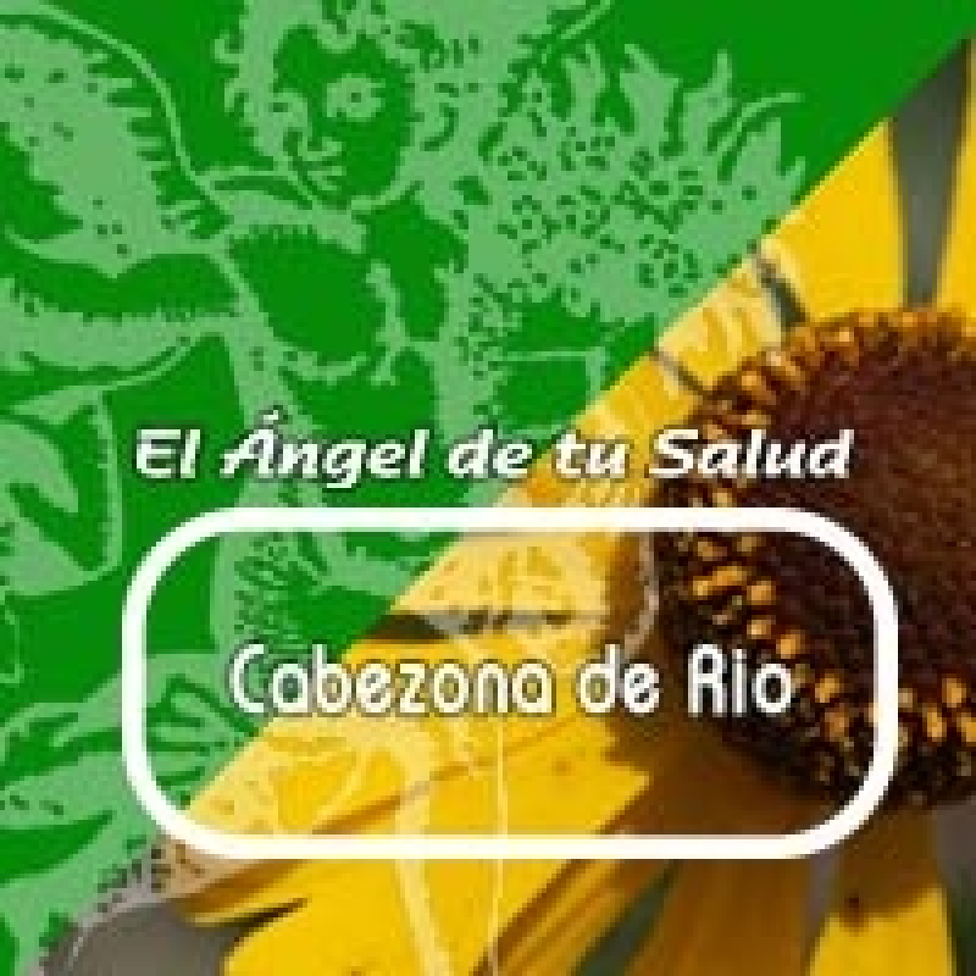 El Angel de tu Salud - CABEZONA DE RÍO*** episode artwork