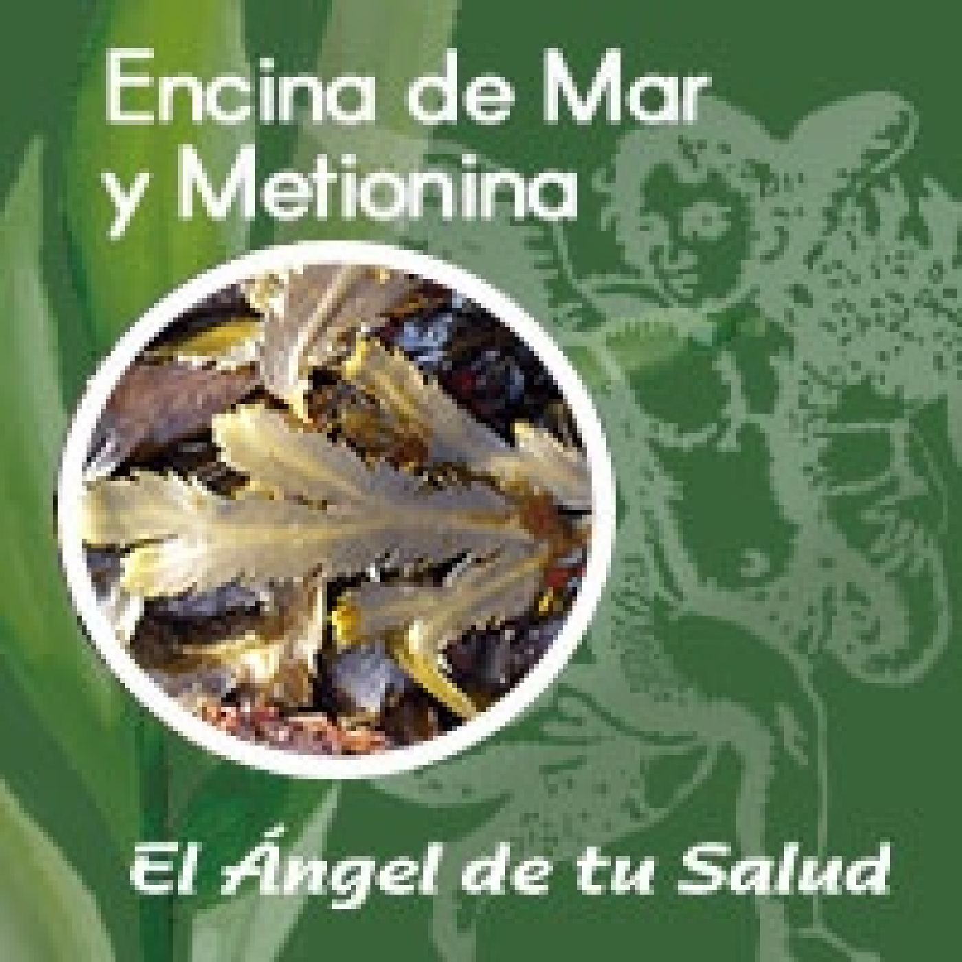 El Ángel de tu Salud - Encina de Mar con METIONINA** episode artwork