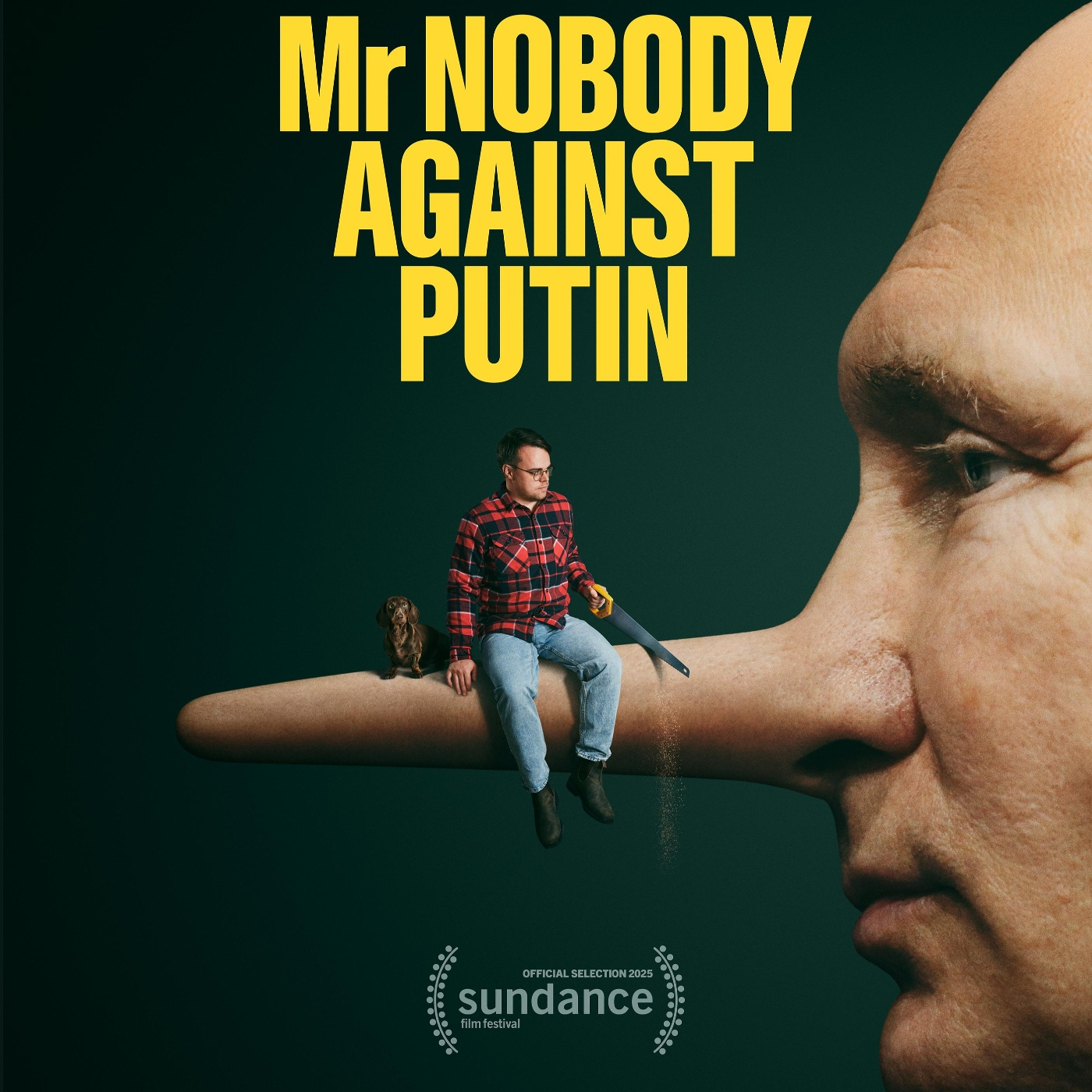 Mr. Nobody against Putin episode artwork