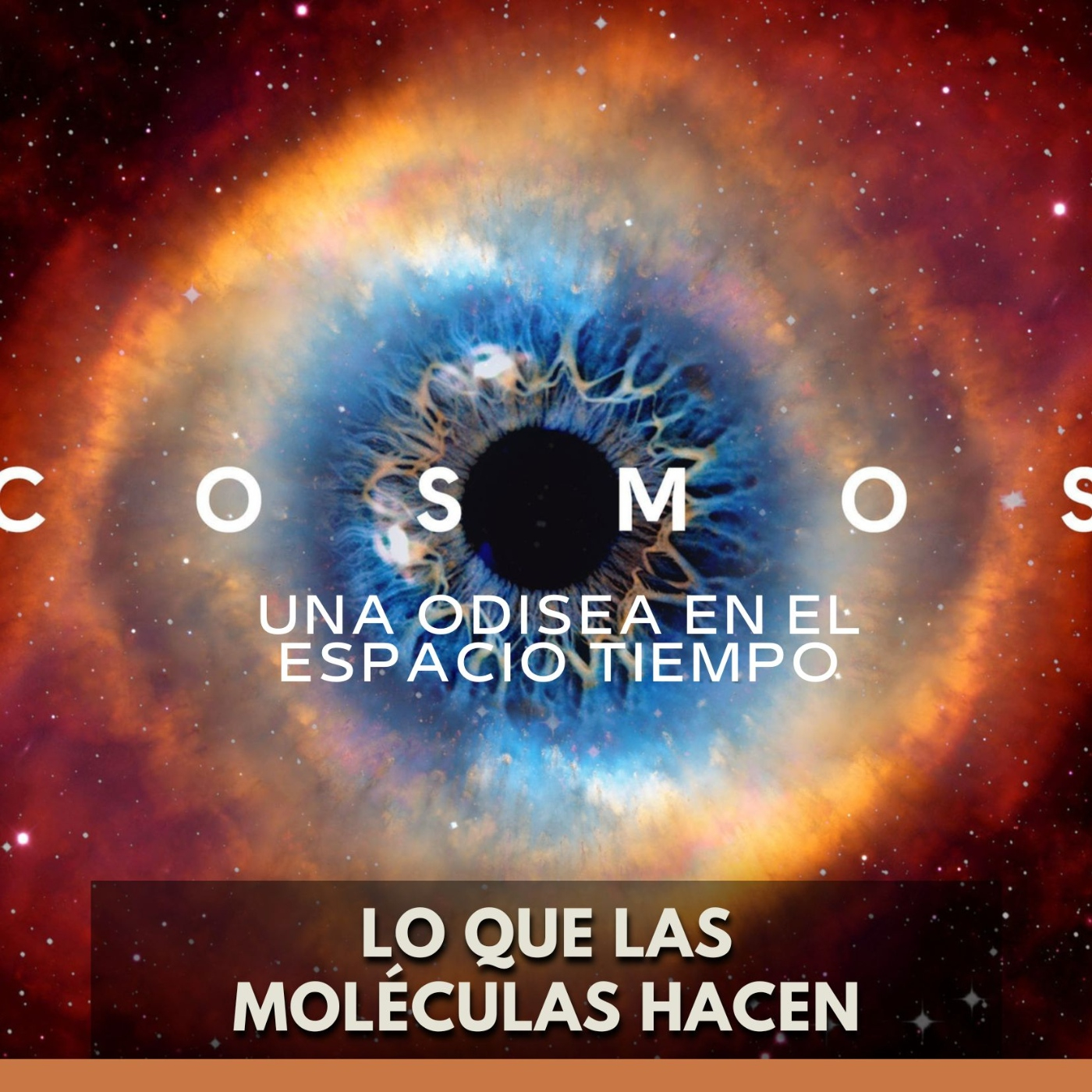 Cosmos: Una Odisea en el Espacio Tiempo - Lo que las Moléculas Hacen episode artwork