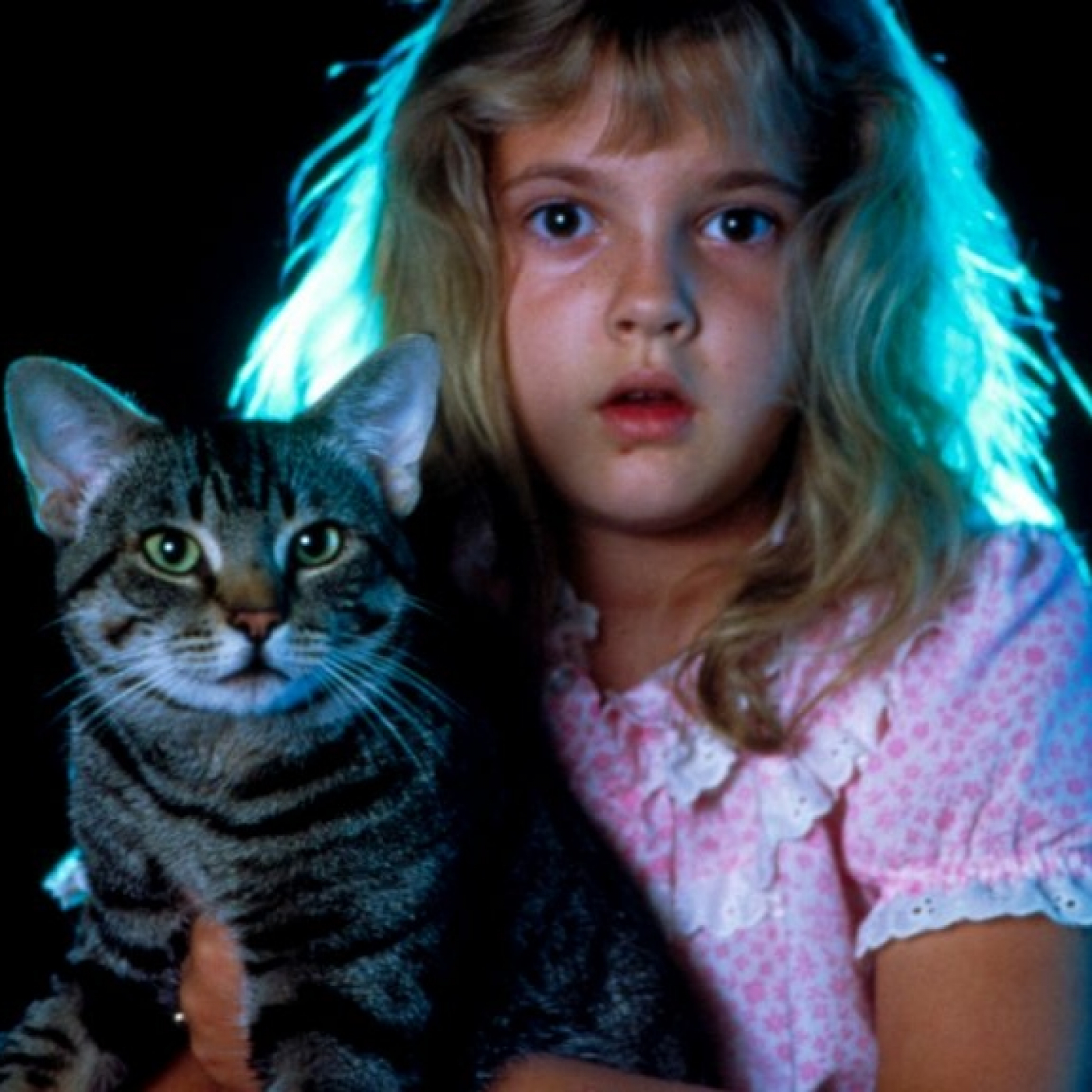 Episodio 32. LOS OJOS DEL GATO - Te cuento una película!