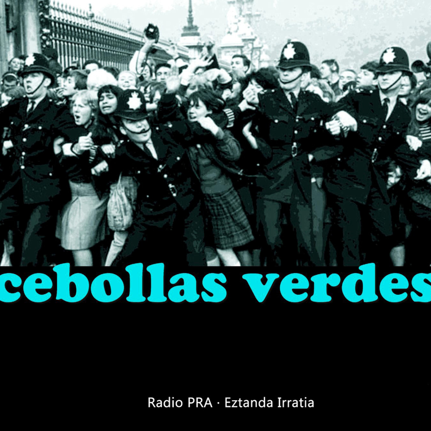 Cebollas Verdes